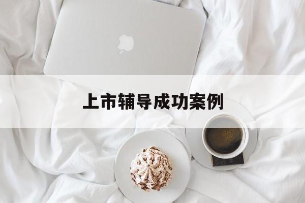 上市辅导成功案例(上市辅导成功后肯定会上市吗)大兴安岭地区
