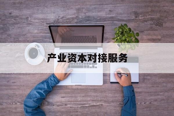 产业资本对接服务(产业资本对接服务包括哪些)大兴安岭地区